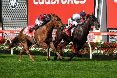 manikato stakes night party|Future stallion Jonker adds group 1 to CV with Manikato Stakes win.